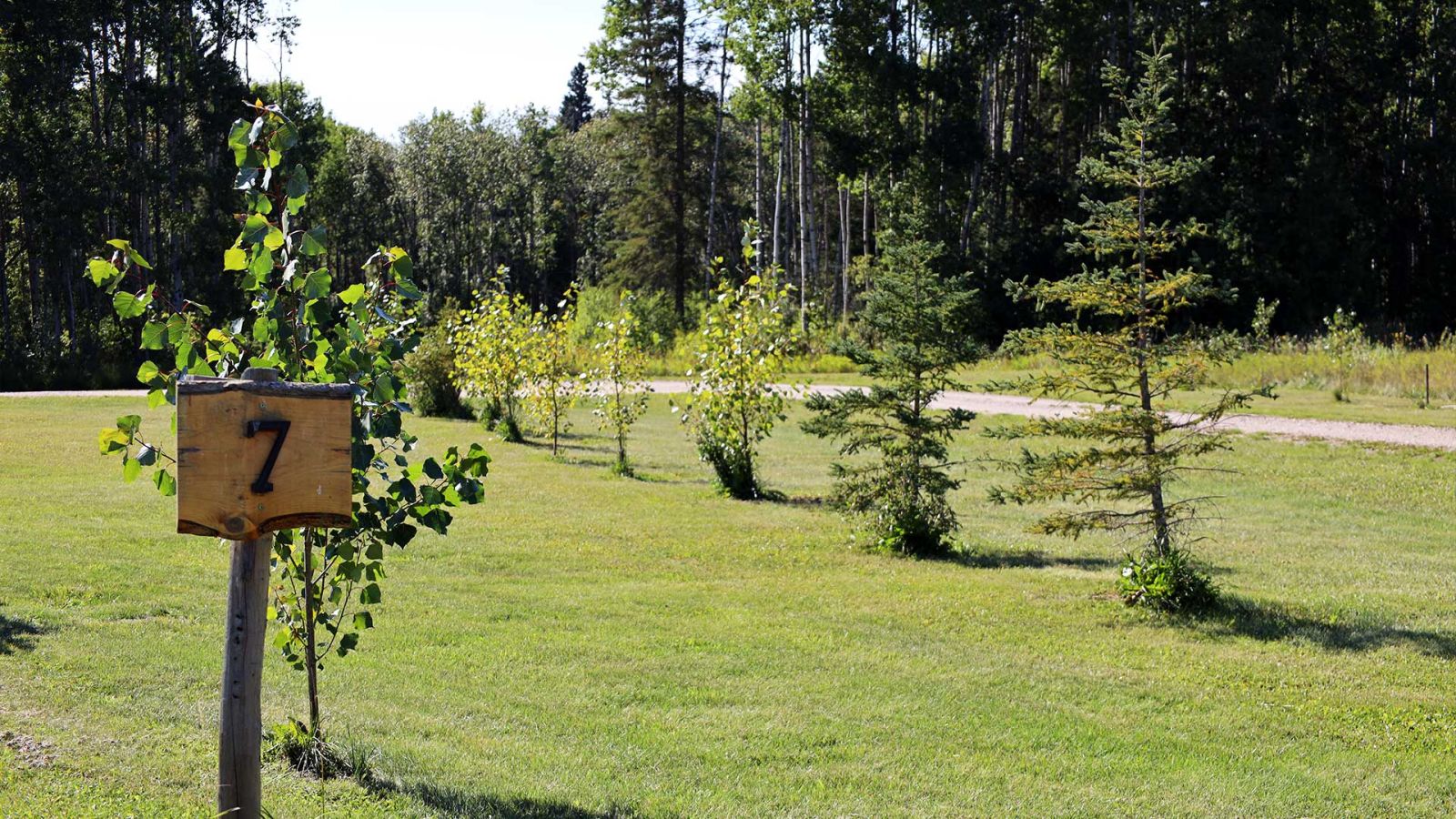 Campground site in Clearlake